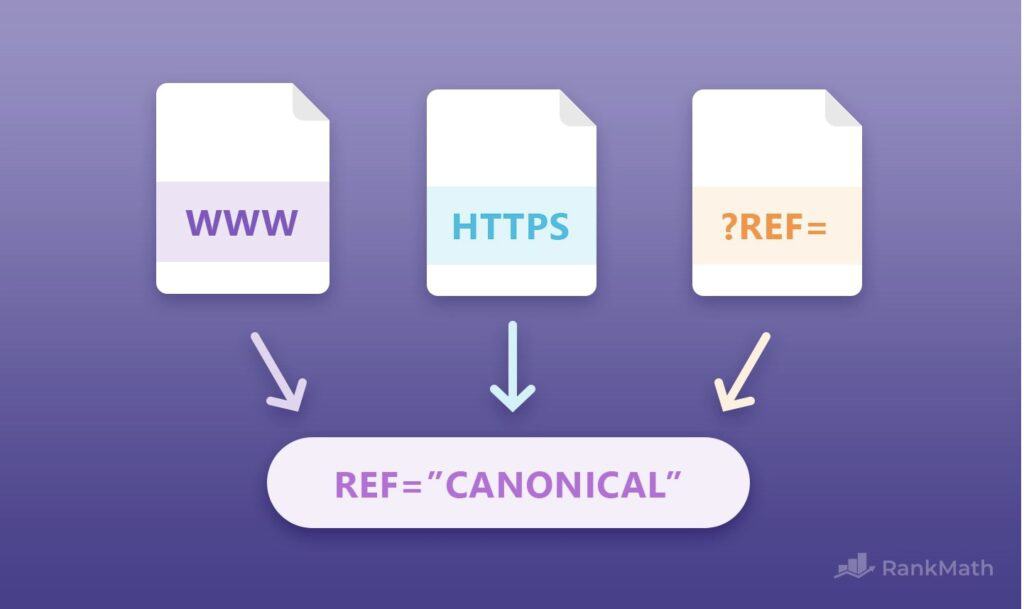 تصدر نتائج البحث,preferred domain,canonical,عنوان اساسي
